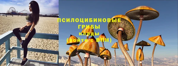 кокс Алексин