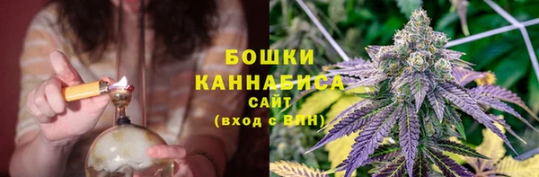 трава Новокубанск