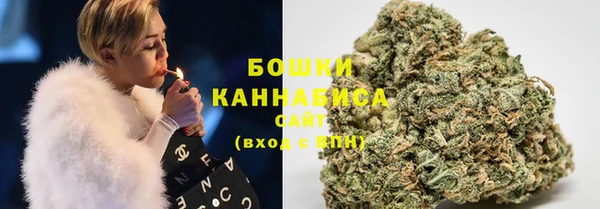 ПСИЛОЦИБИНОВЫЕ ГРИБЫ Новодвинск